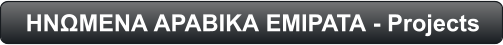 ΗΝΩΜΕΝΑ ΑΡΑΒΙΚΑ ΕΜΙΡΑΤΑ - Projects