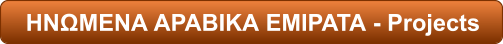 ΗΝΩΜΕΝΑ ΑΡΑΒΙΚΑ ΕΜΙΡΑΤΑ - Projects