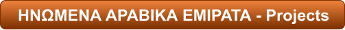 ΗΝΩΜΕΝΑ ΑΡΑΒΙΚΑ ΕΜΙΡΑΤΑ - Projects