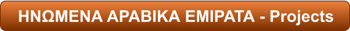 ΗΝΩΜΕΝΑ ΑΡΑΒΙΚΑ ΕΜΙΡΑΤΑ - Projects